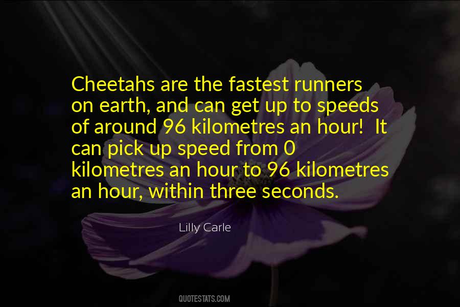 Lilly Carle Quotes #355780