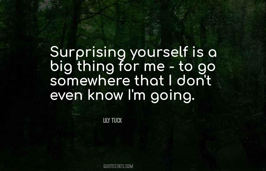 Lily Tuck Quotes #1110039 Lily Tuck Quotes #1110039