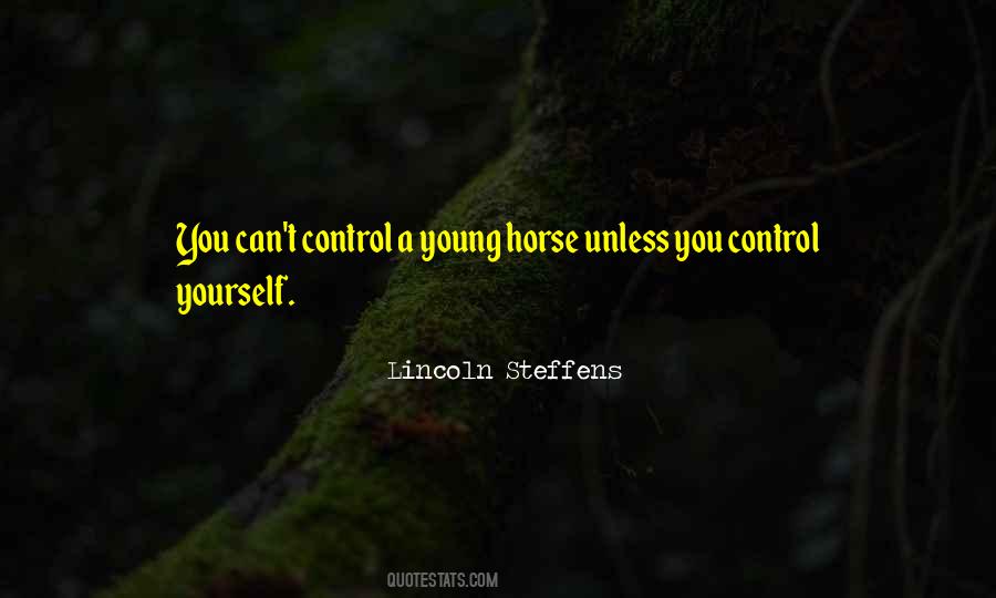 Lincoln Steffens Quotes #25508