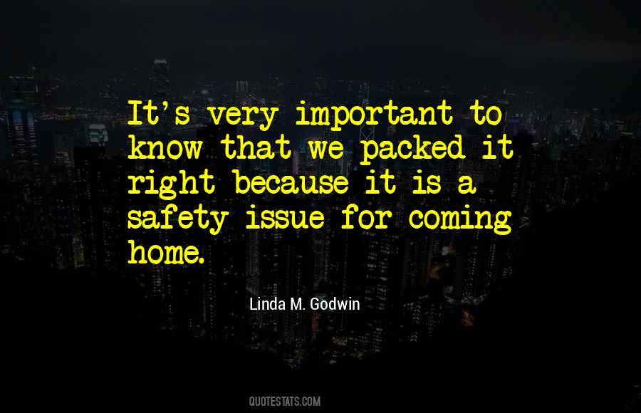 Linda M. Godwin Quotes #1082113