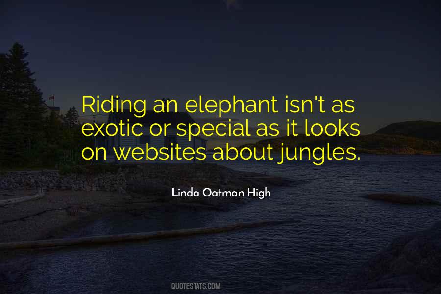 Linda Oatman High Quotes #1624224 Linda Oatman High Quotes #1624224