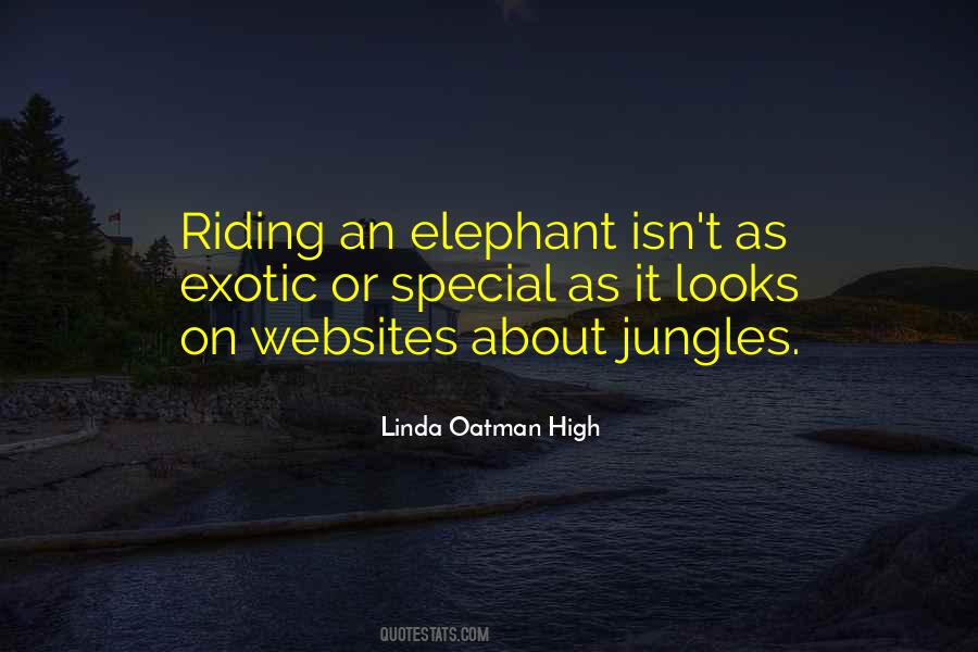 Linda Oatman High Quotes #1624224