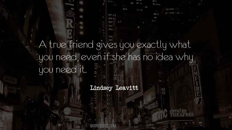 Lindsey Leavitt Quotes #958772