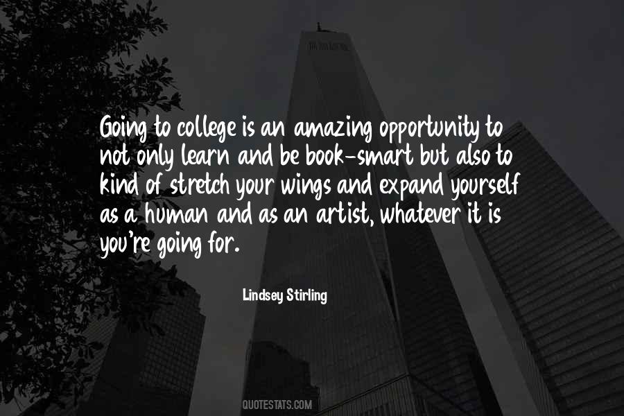 Lindsey Stirling Quotes #712296