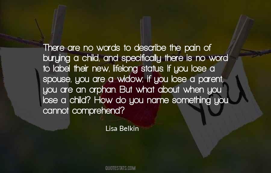 Lisa Belkin Quotes #307519