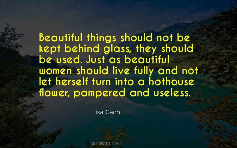 Lisa Cach Quotes #535302