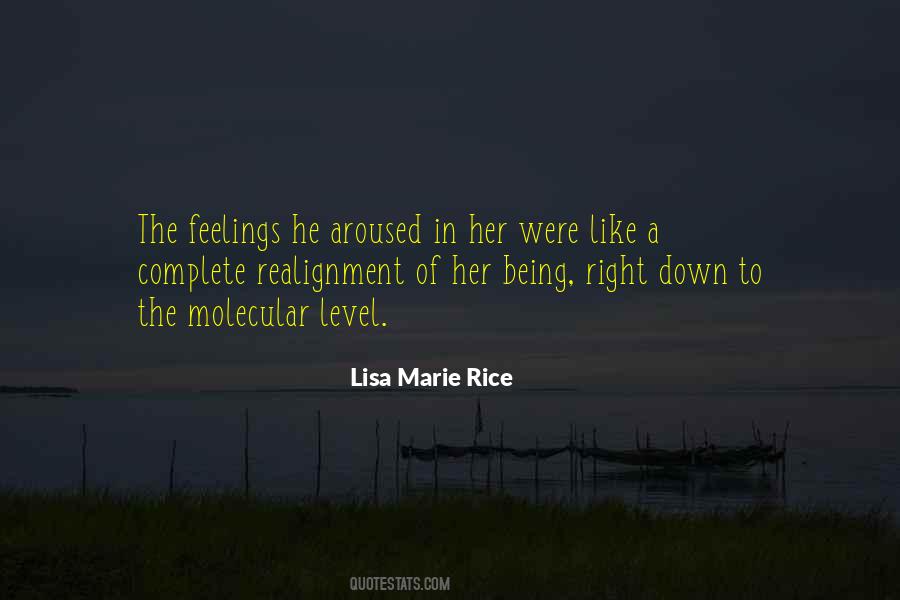 Lisa Marie Rice Quotes #112657