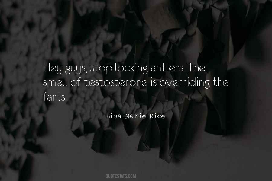 Lisa Marie Rice Quotes #1283428
