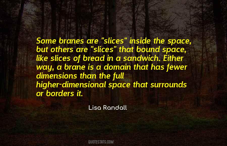 Lisa Randall Quotes #882995