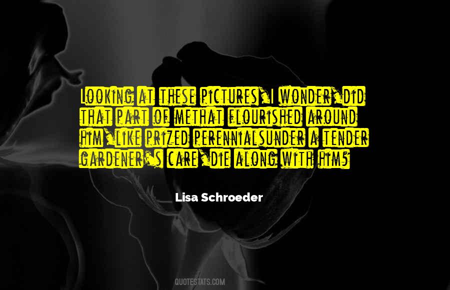 Lisa Schroeder Quotes #534128