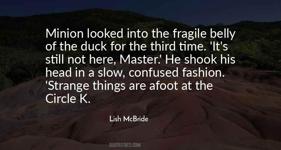 Lish McBride Quotes #278242