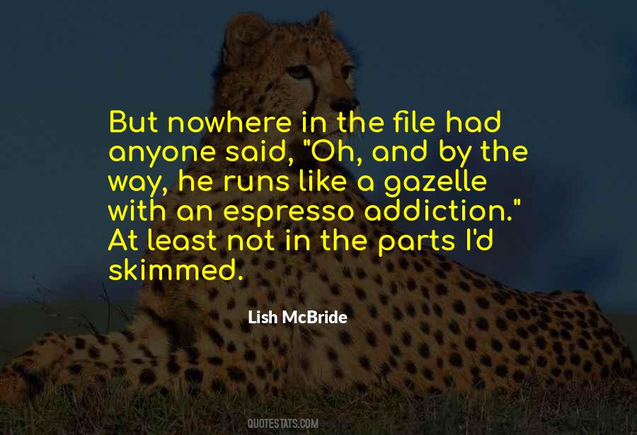 Lish McBride Quotes #704115