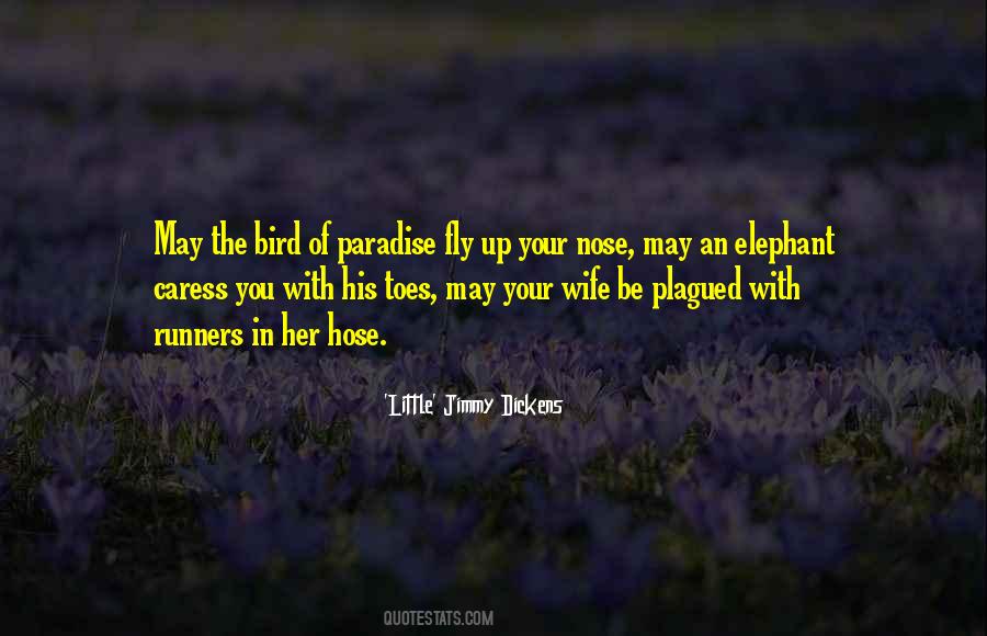 'Little' Jimmy Dickens Quotes #1480568 'Little' Jimmy Dickens Quotes #1480568