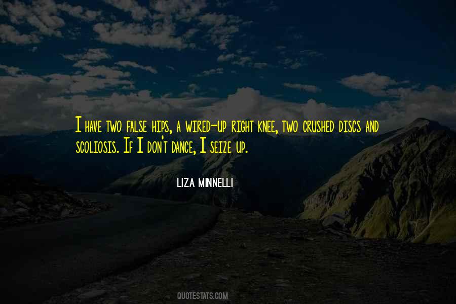 Liza Minnelli Quotes #1550989