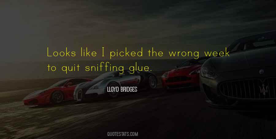 Lloyd Bridges Quotes #1149304