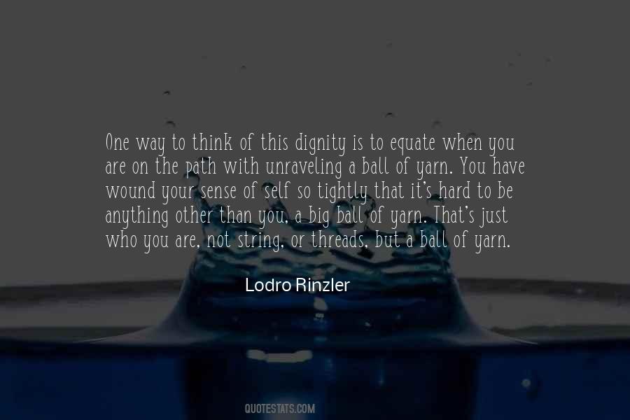 Lodro Rinzler Quotes #1578149