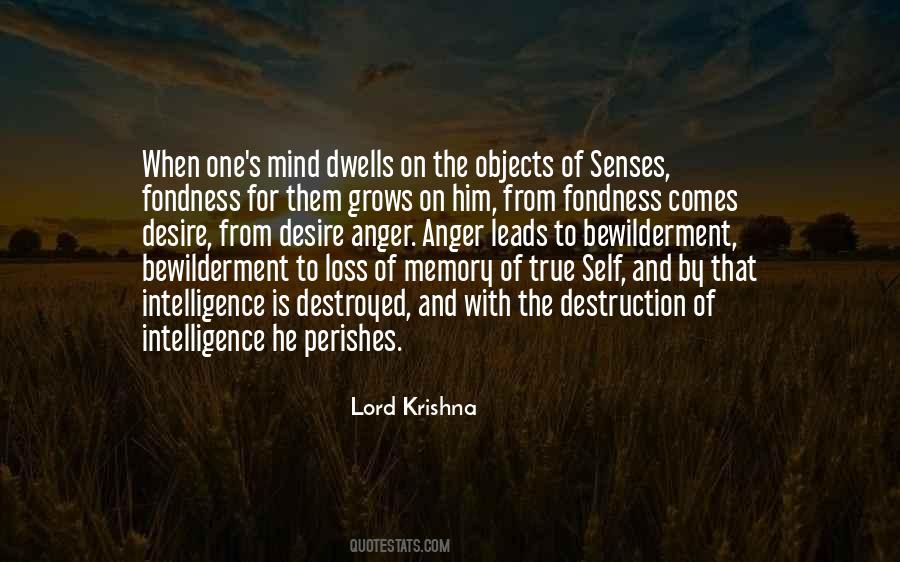 Lord Krishna Quotes #1372051