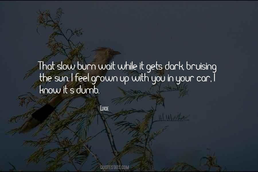 Lorde Quotes #1830466
