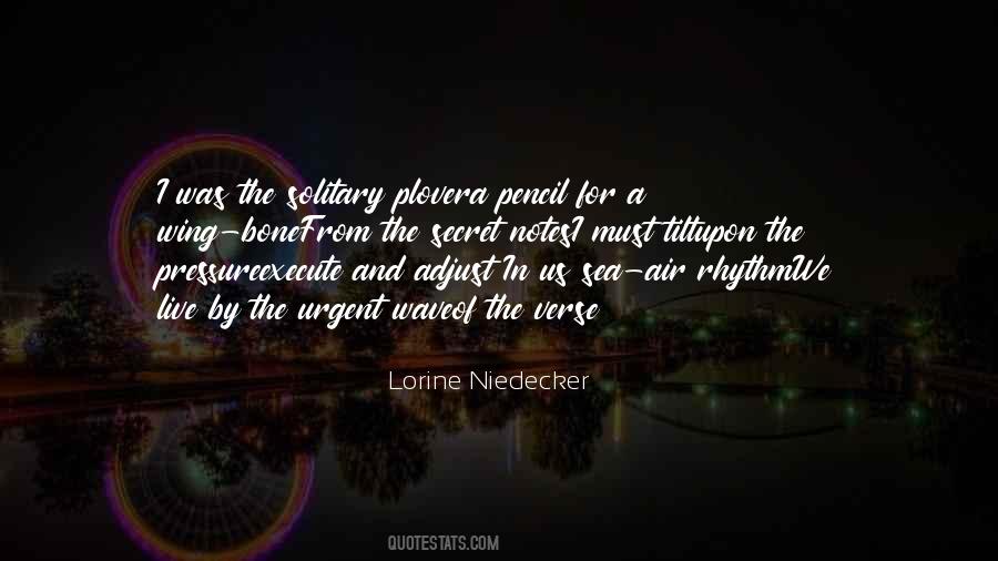 Lorine Niedecker Quotes #333338