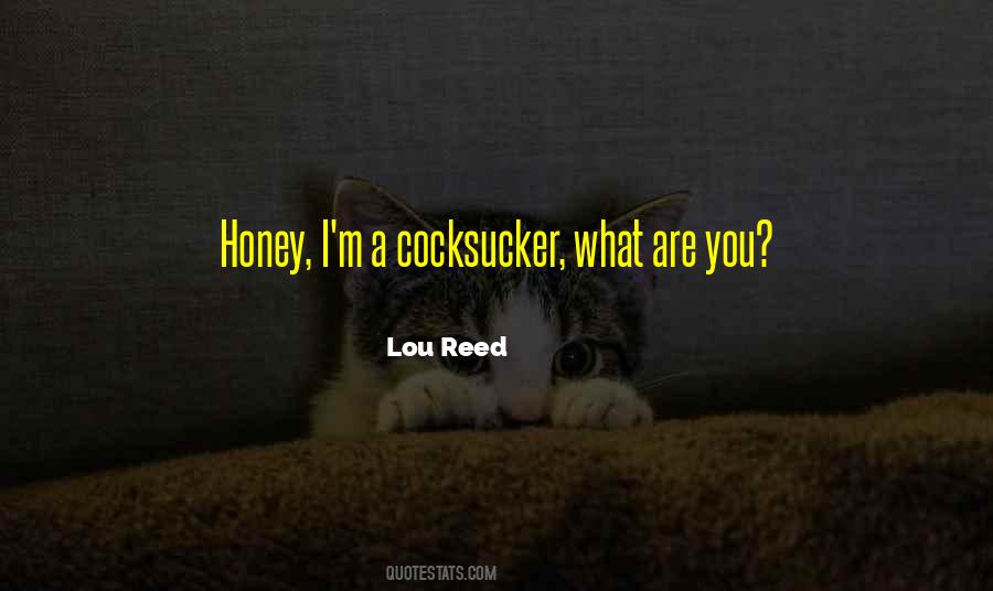 Lou Reed Quotes #1833633