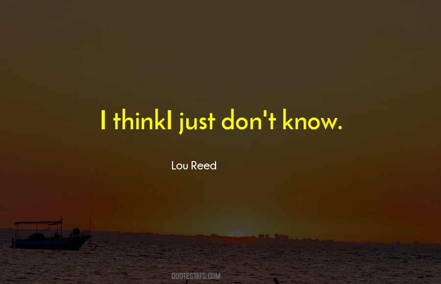 Lou Reed Quotes #302097
