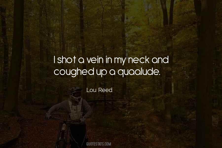 Lou Reed Quotes #806354