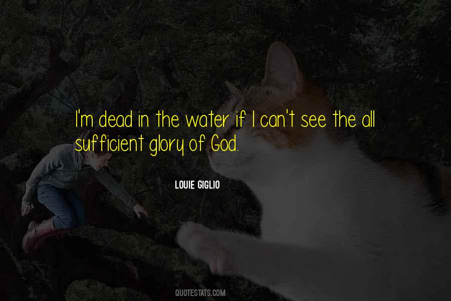 Louie Giglio Quotes #1324056