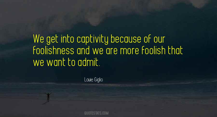 Louie Giglio Quotes #46726