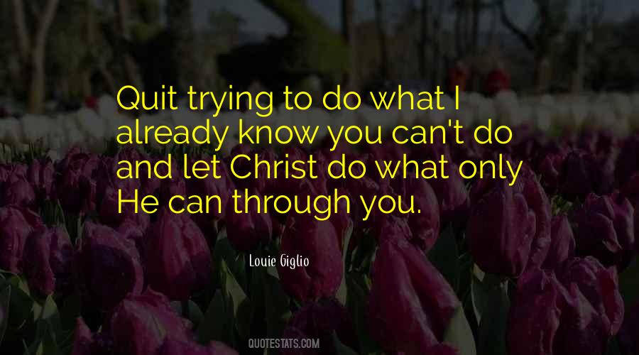 Louie Giglio Quotes #957240