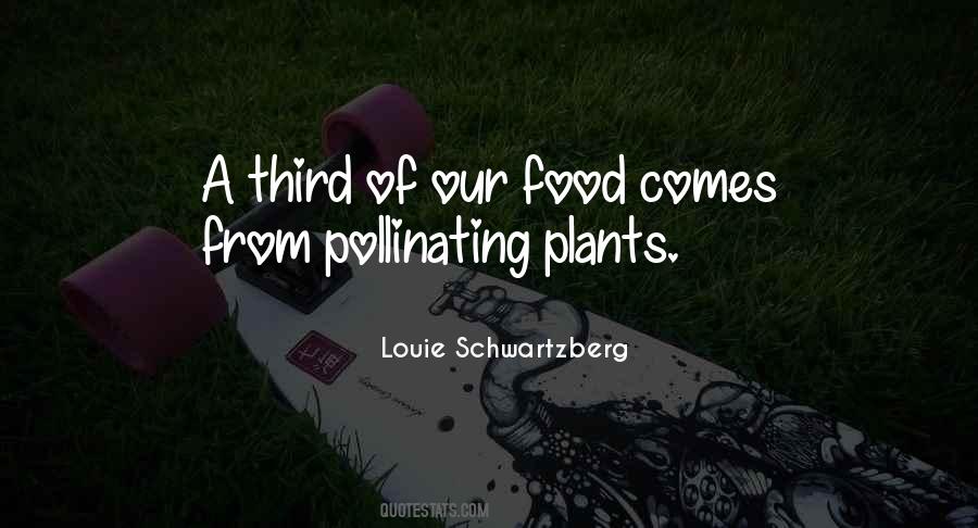 Louie Schwartzberg Quotes #1159228