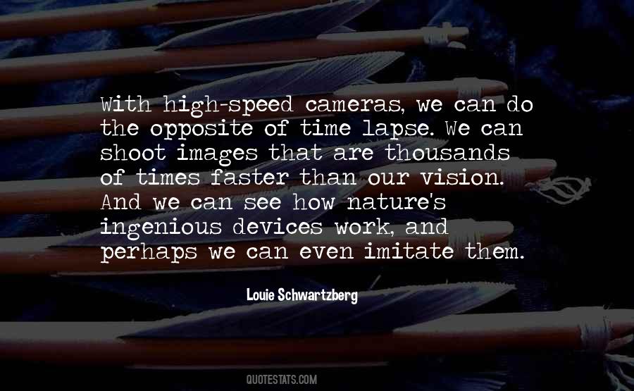 Louie Schwartzberg Quotes #212442