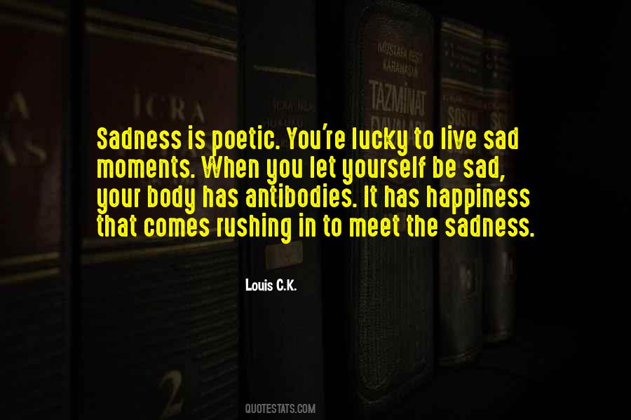 Louis C.K. Quotes #1180892