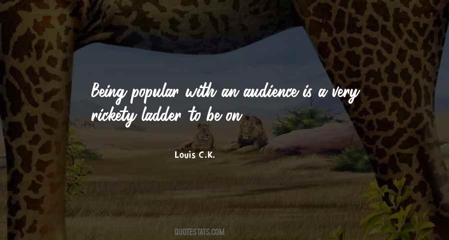 Louis C.K. Quotes #1629533