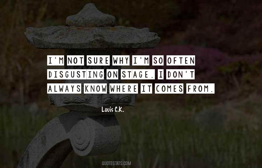 Louis C.K. Quotes #234387