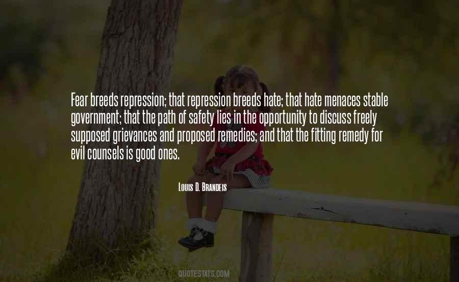 Louis D. Brandeis Quotes #293882