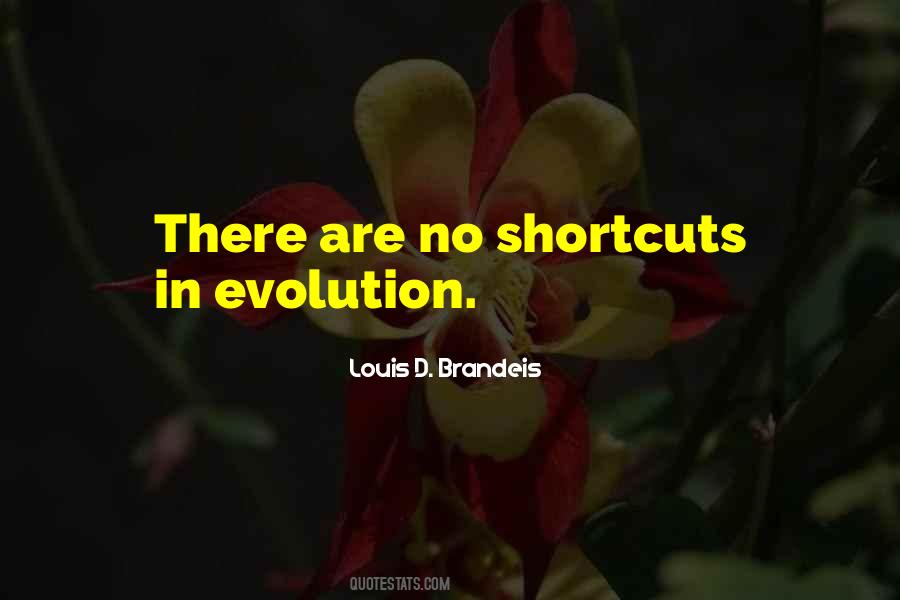 Louis D. Brandeis Quotes #718229