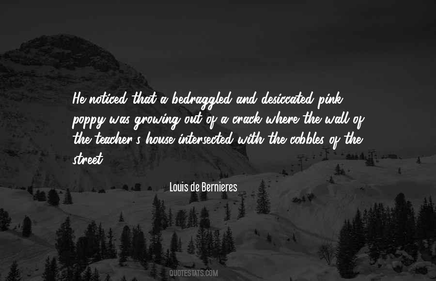 Louis De Bernieres Quotes #1703182