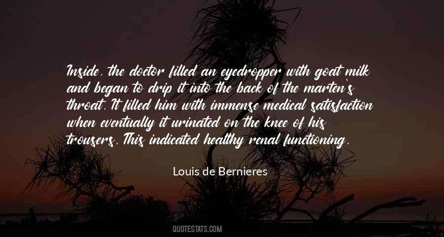 Louis De Bernieres Quotes #1715932