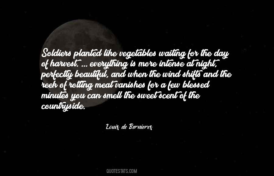 Louis De Bernieres Quotes #747478