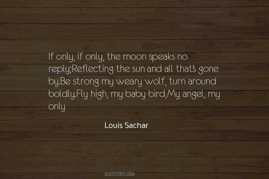 Louis Sachar Quotes #1674436