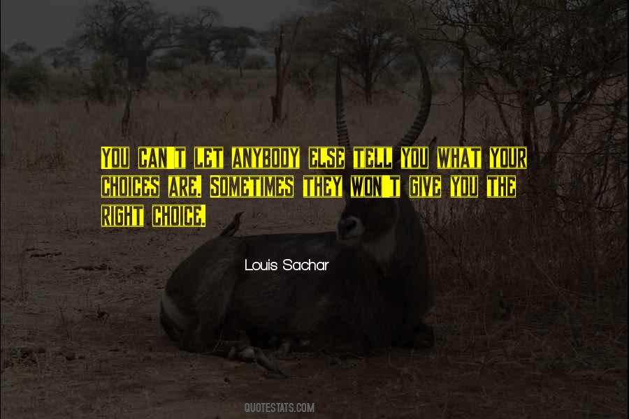 Louis Sachar Quotes #358897