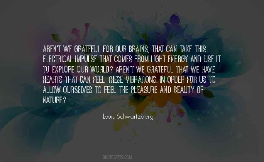 Louis Schwartzberg Quotes #163999