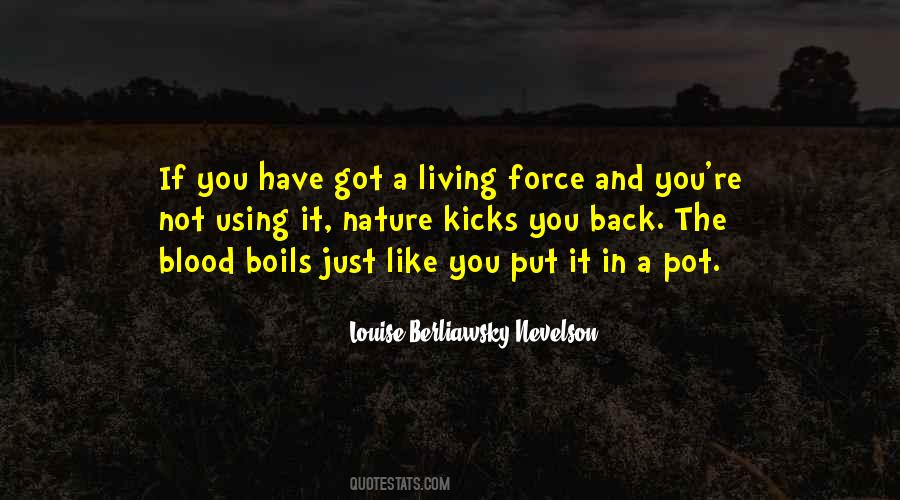 Louise Berliawsky Nevelson Quotes #138294