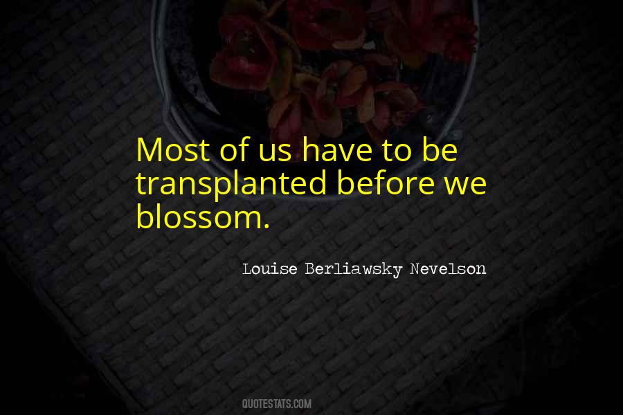 Louise Berliawsky Nevelson Quotes #429726