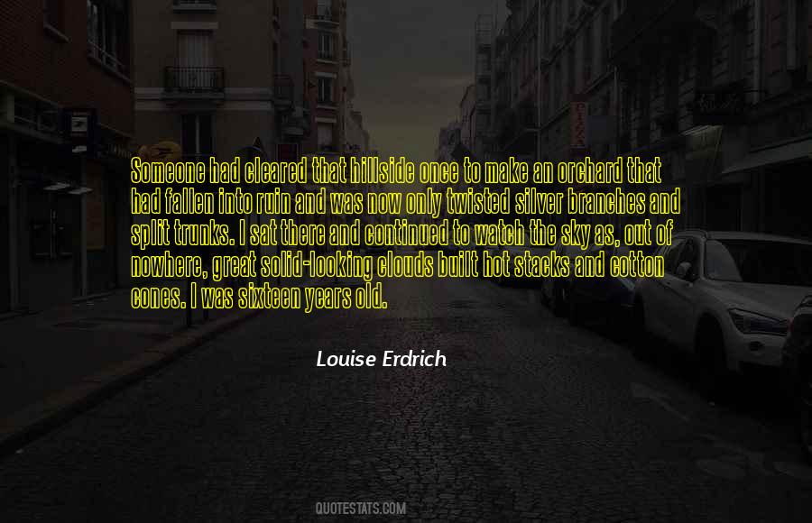 Louise Erdrich Quotes #1404007