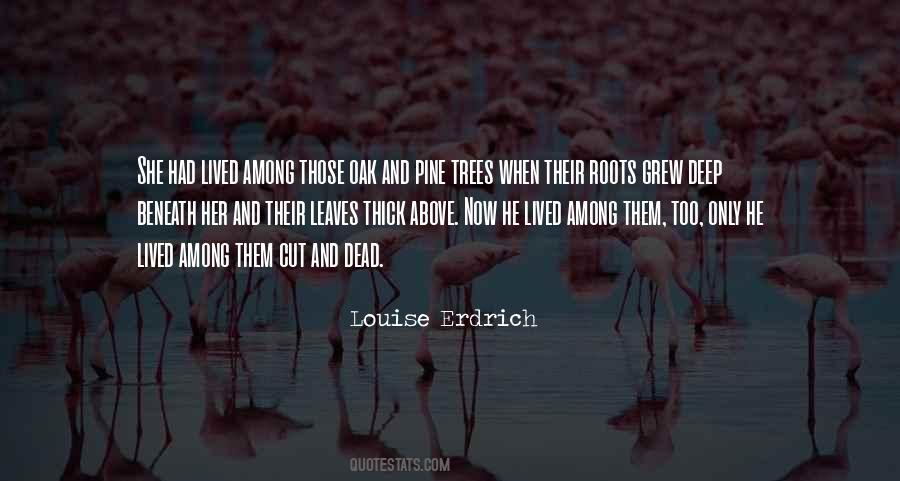 Louise Erdrich Quotes #793436