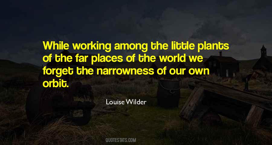Louise Wilder Quotes #870501
