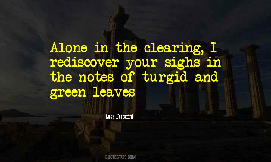 Luca Ferrarini Quotes #1755237