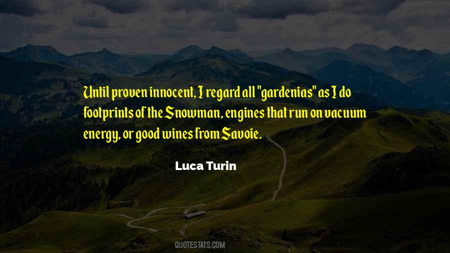 Luca Turin Quotes #264030