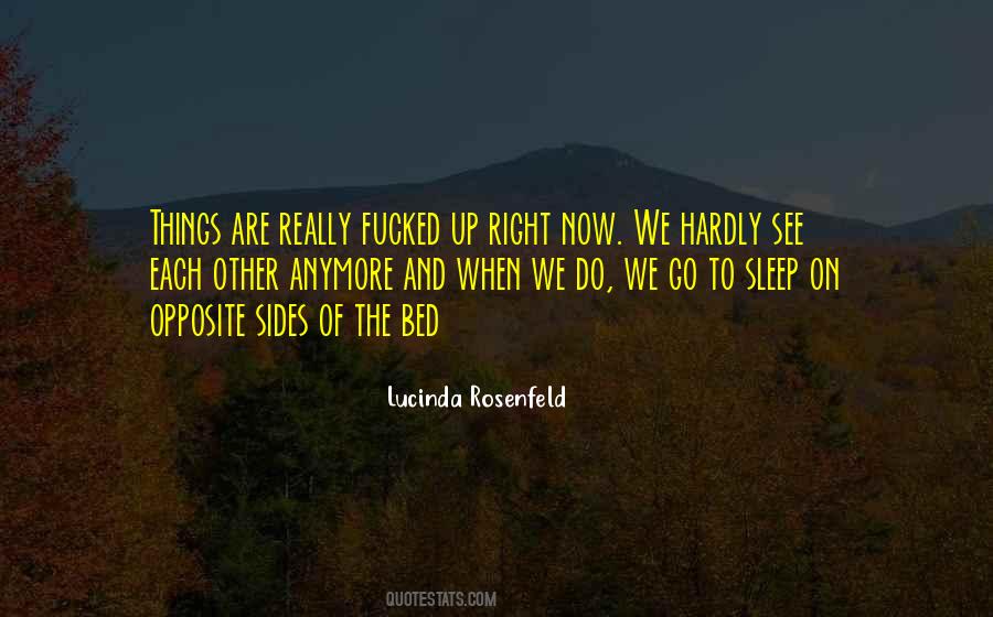 Lucinda Rosenfeld Quotes #1819736